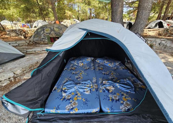 Pine Side Camp