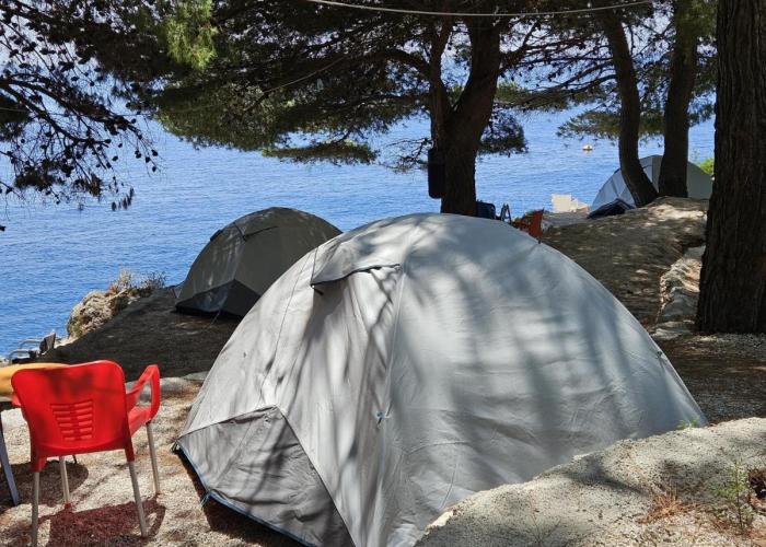 Pine Side Camp