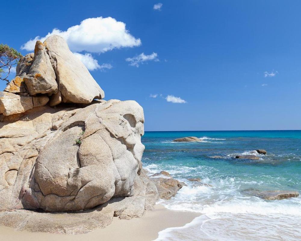 фото Maya Holiday Home