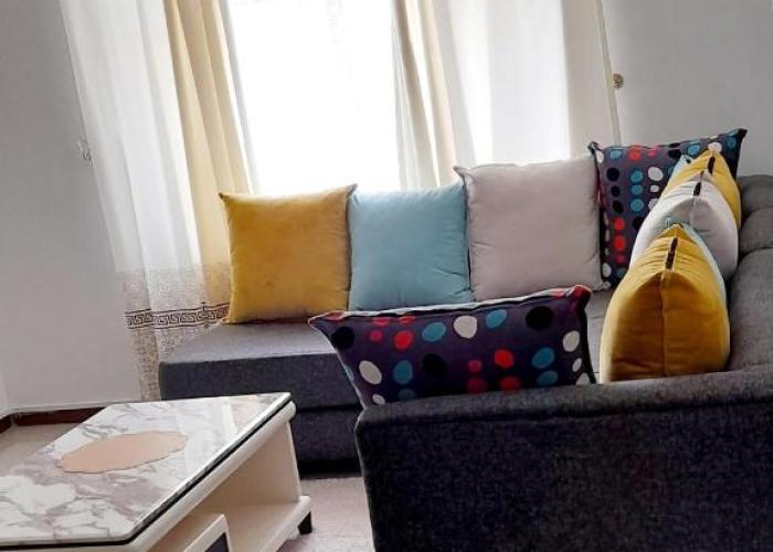 Furnished Homes Nakuru