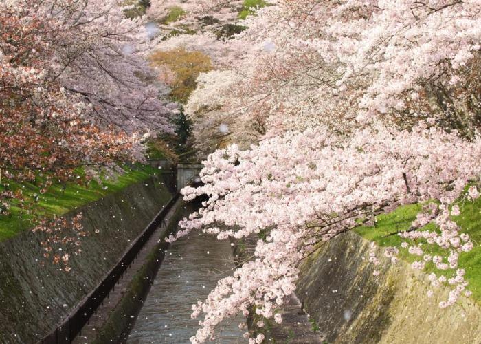 Miidera Onjo-ji