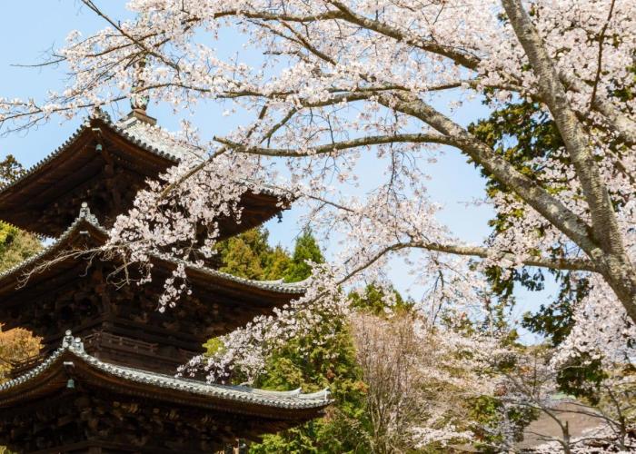 Miidera Onjo-ji