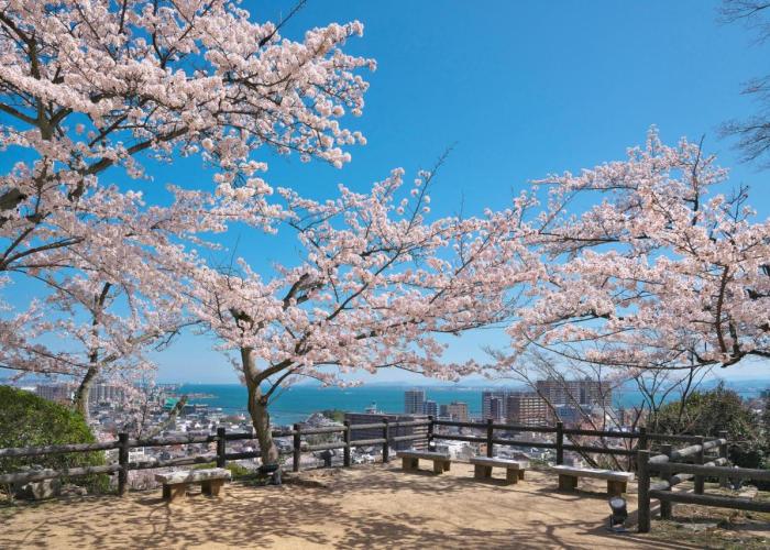 Miidera Onjo-ji