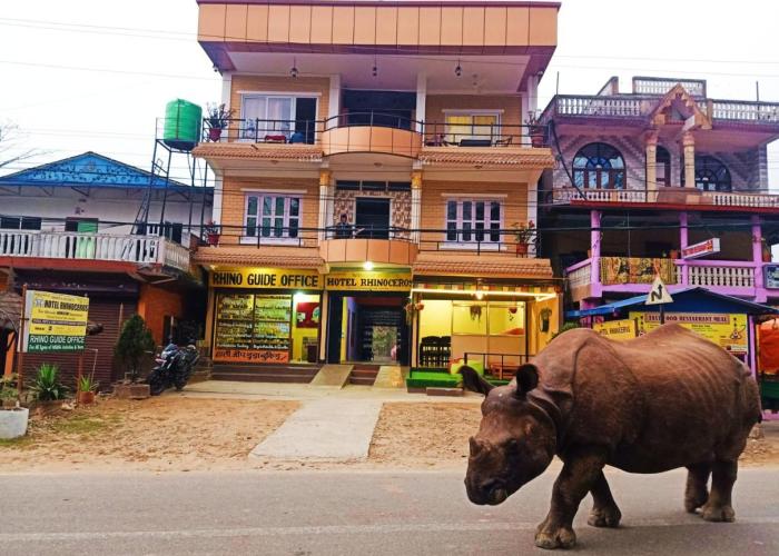 Hotel Rhinoceros-Homestay