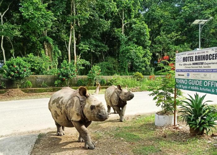 Hotel Rhinoceros-Homestay