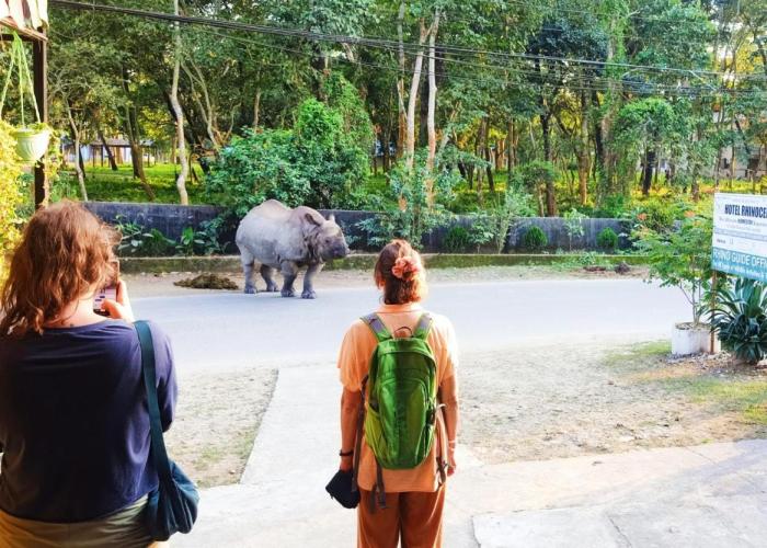 Hotel Rhinoceros-Homestay
