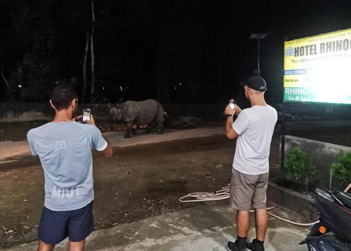 Hotel Rhinoceros-Homestay