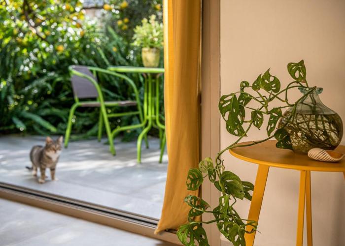 Olive Lemon Biophilic House & Lush Forest Garden