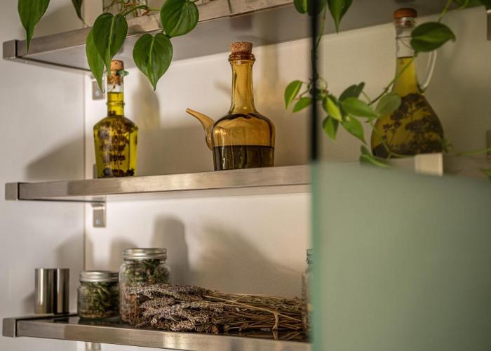 Olive Lemon Biophilic House & Lush Forest Garden