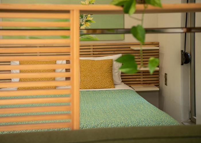 Olive Lemon Biophilic House & Lush Forest Garden
