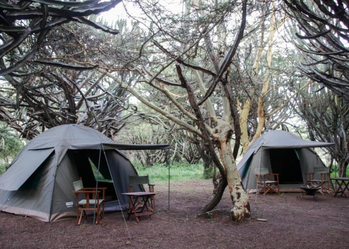 Maji Moto Maasai Cultural Camp