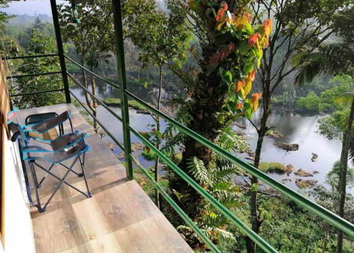 Noah's Nest Tree House