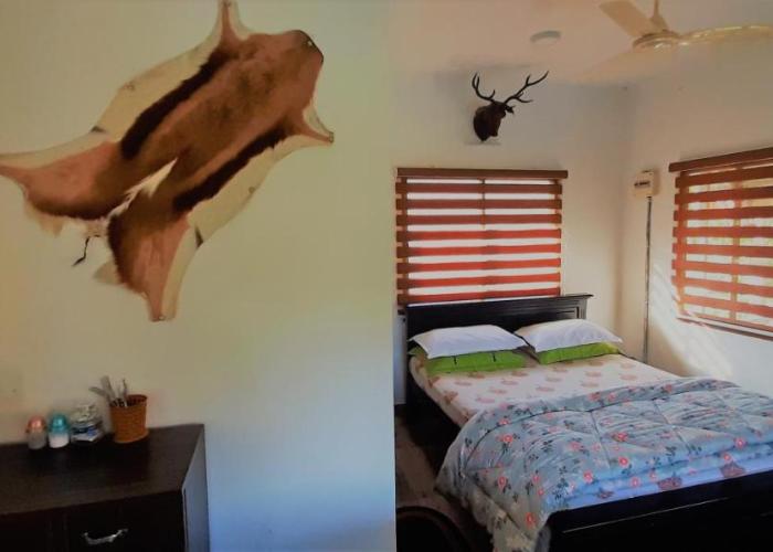 Noah's Nest Tree House