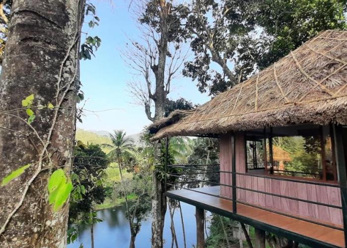 Noah's Nest Tree House