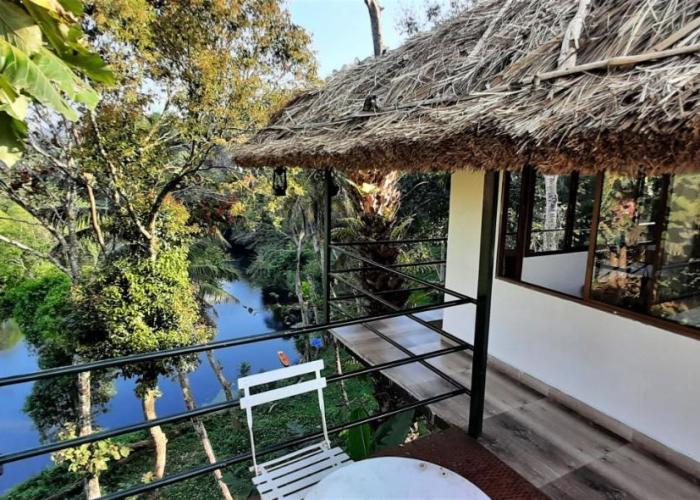 Noah's Nest Tree House