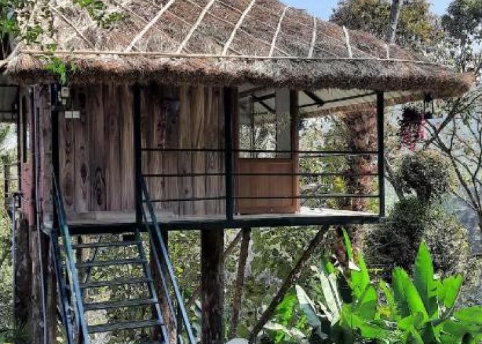 Noah's Nest Tree House