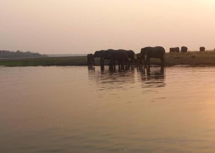 African Sunsets (Bophirimo Self-Catering Guest House)
