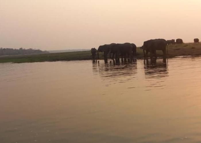 African Sunsets (Bophirimo Self-Catering Guest House)