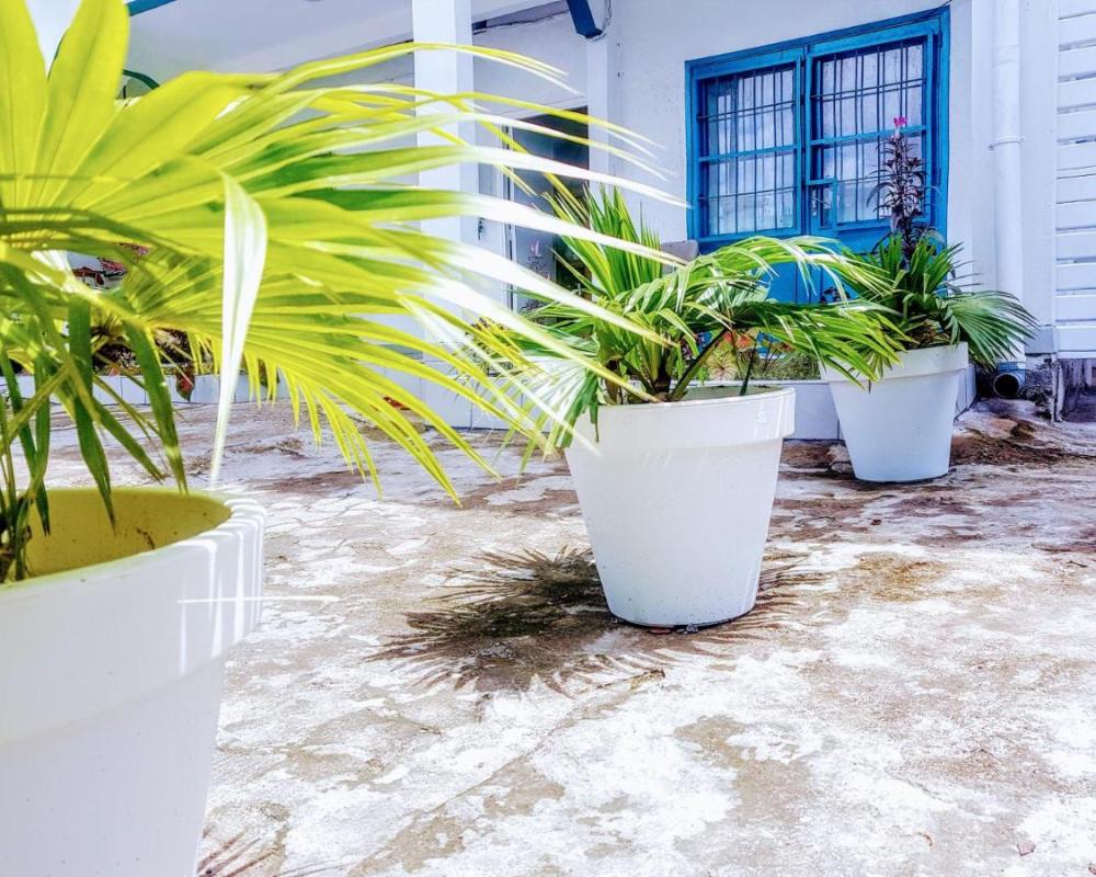 фото APPARTEMENT MAKEPE BM 2