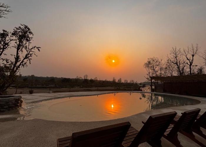 Happy Lemon Tree lodge