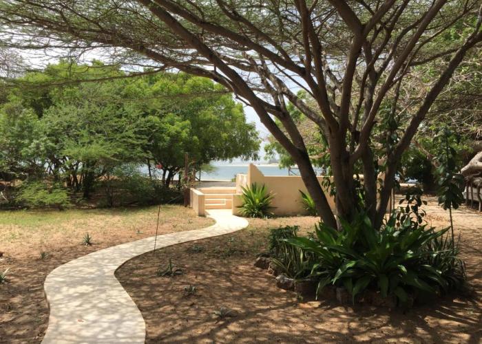 Mangrove House