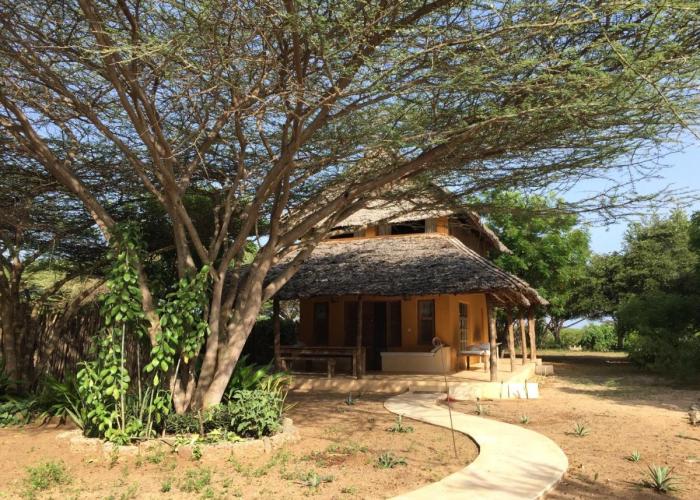 Mangrove House