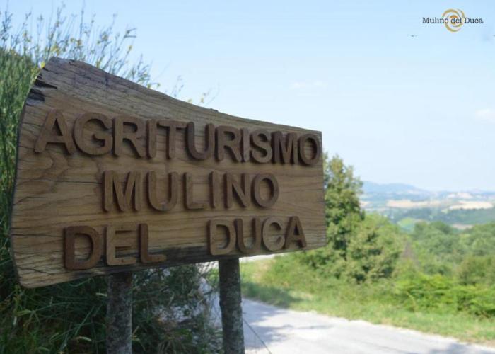 Agriturismo Mulino del Duca