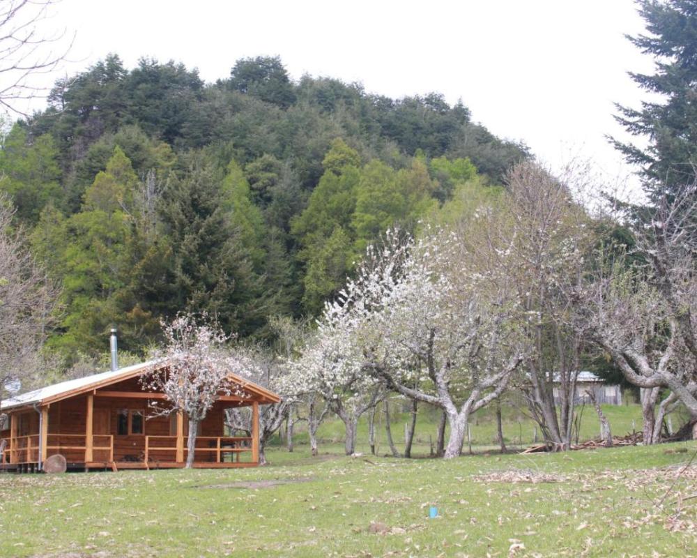 фото Karkú Lodge