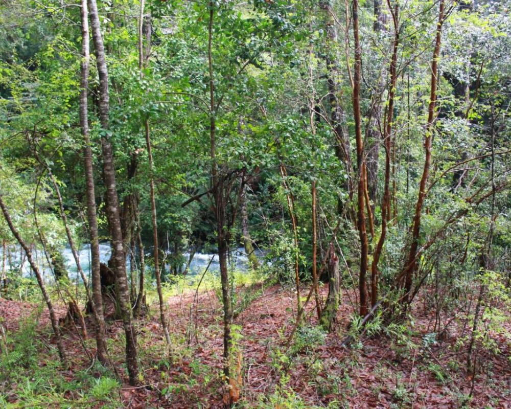 фото Karkú Lodge