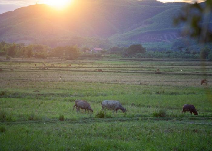 Phong Nha Farmstay