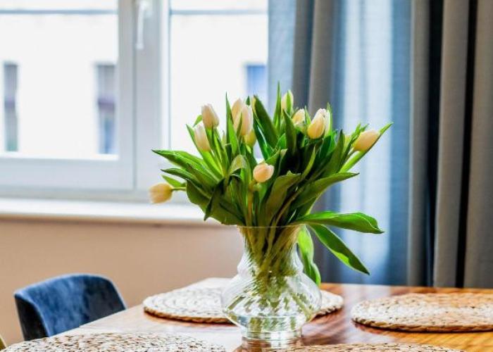 Zeglarska Apartament