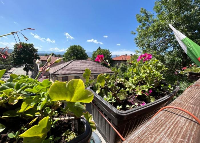 Guest house Legeto