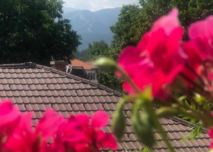 Guest house Legeto