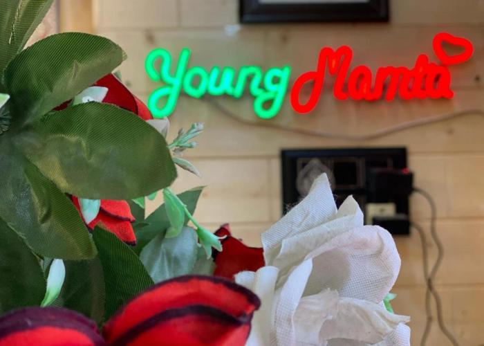 Hotel Young Mamta