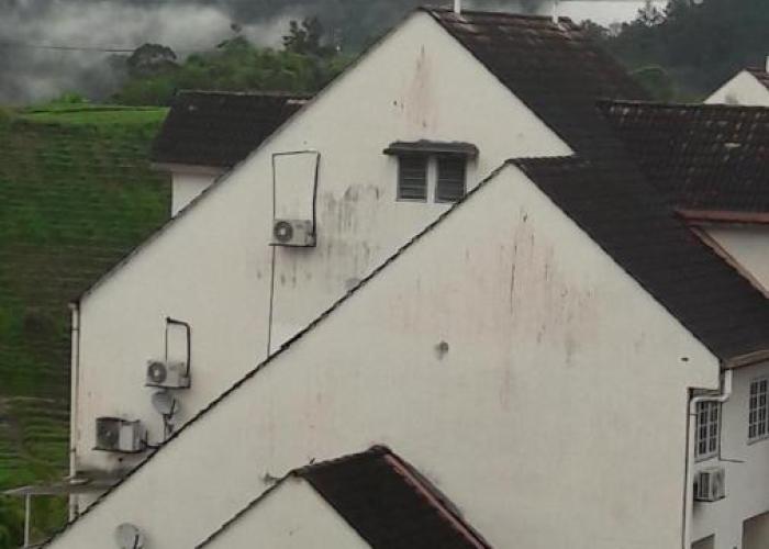 Bukit Tinggi Fuchsia Hillhomes