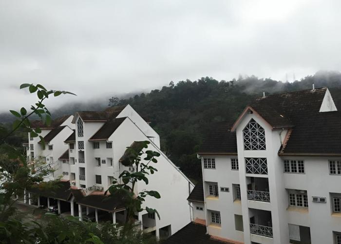 Bukit Tinggi Fuchsia Hillhomes