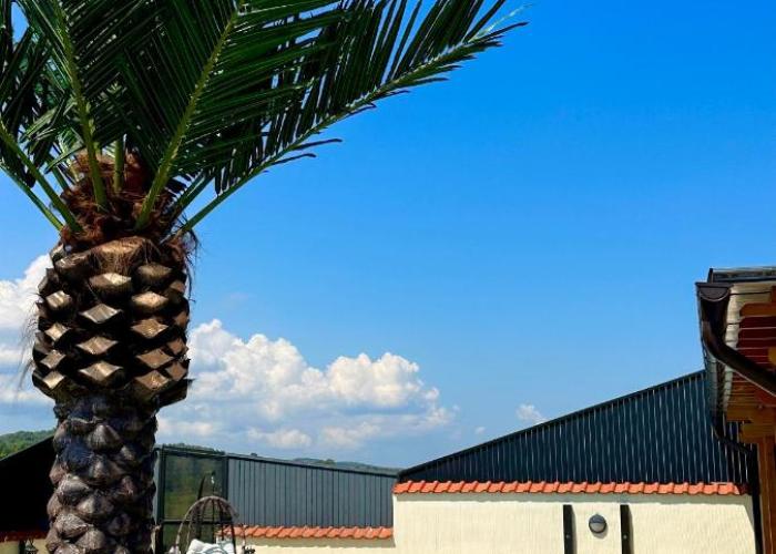 Vila Impresija Fruska gora
