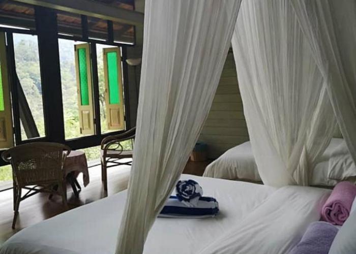 Langit Rimba Resort