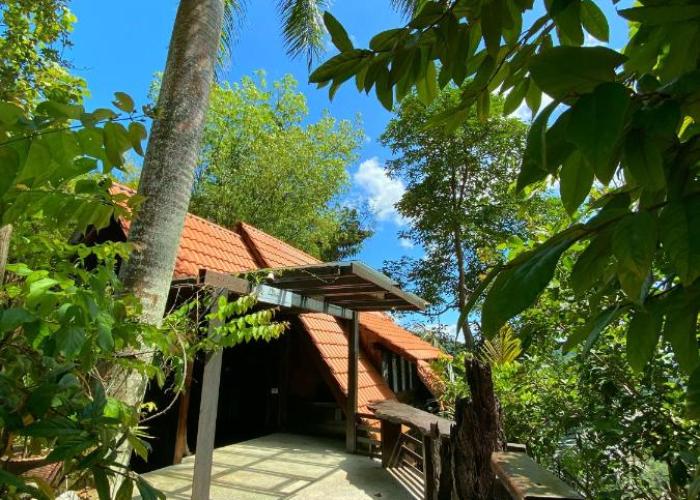 Langit Rimba Resort