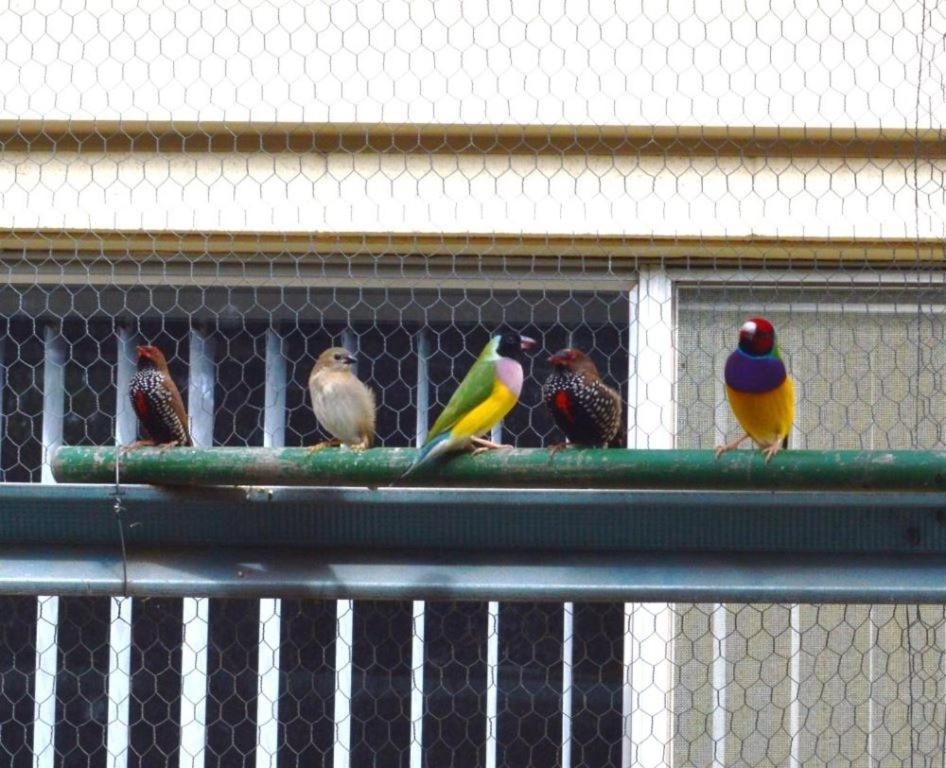 фото Paringa Caravan Park