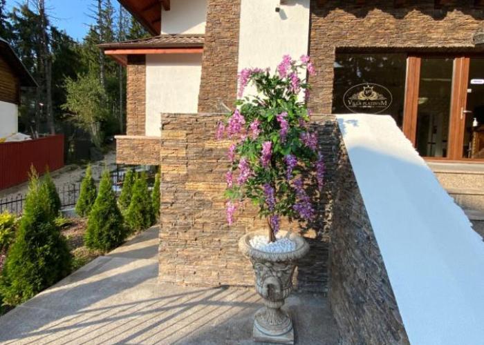 Villa Platinvm
