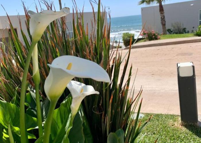 La Jolla Excellence, Exclusive Front Beach!