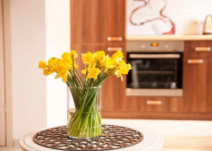 EVArent Apartament