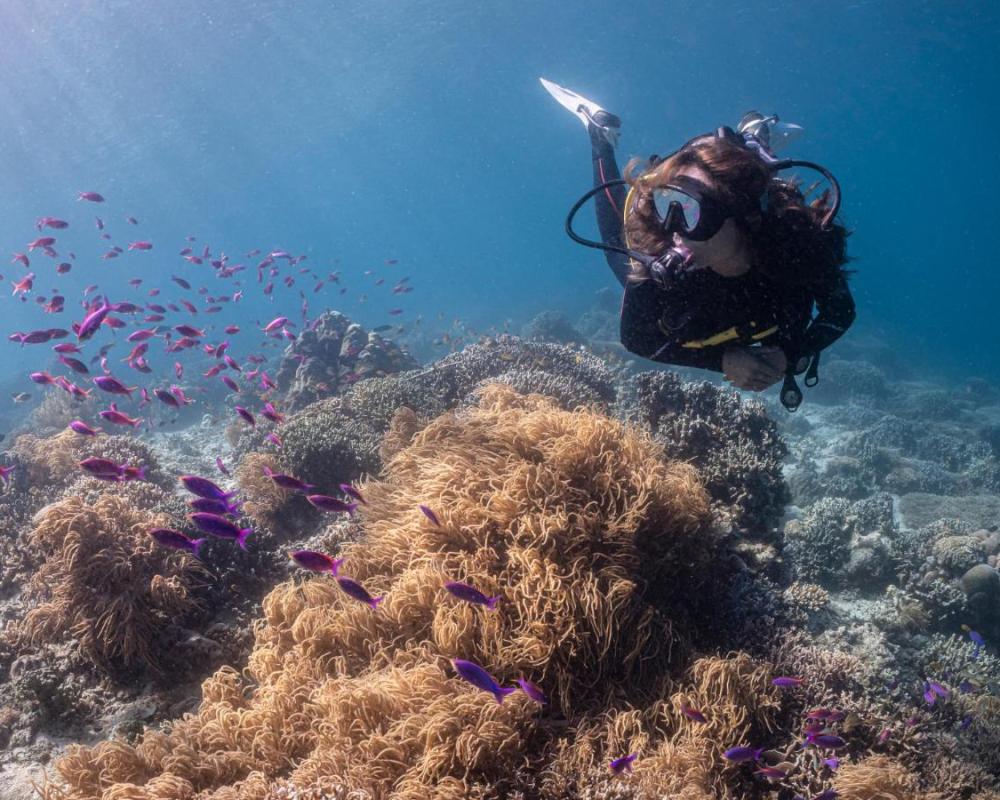 фото Emoha Dive Resort