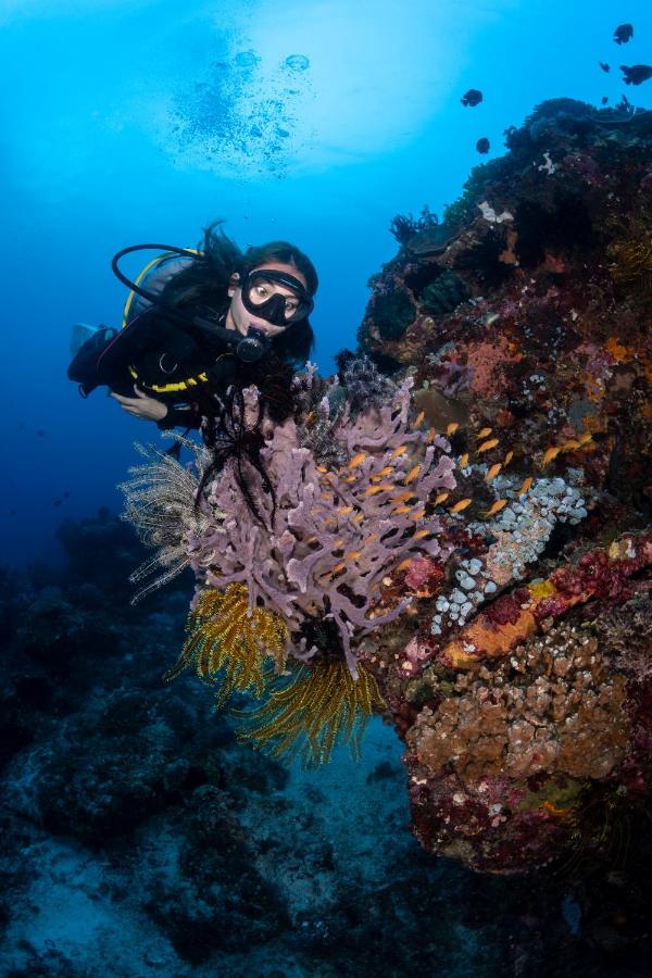 фото Emoha Dive Resort