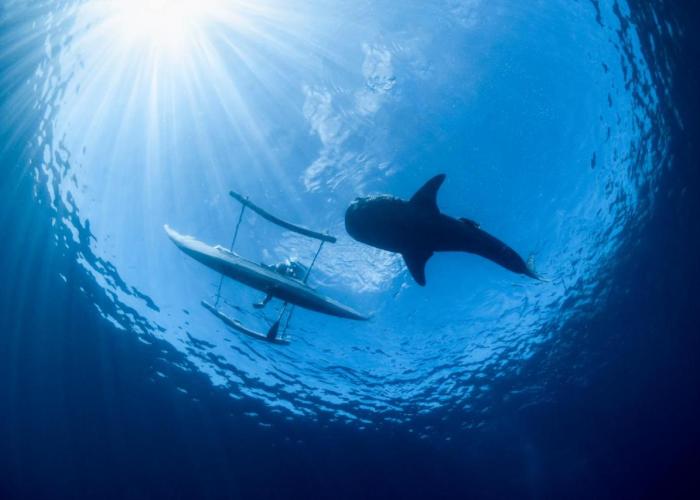 Emoha Dive Resort