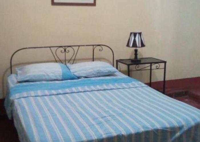 Hostal Virrey & Tours