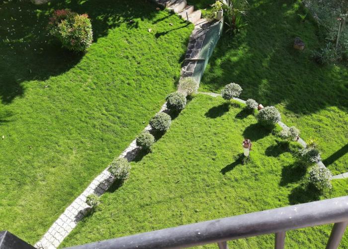 Blue Ridge Homestay