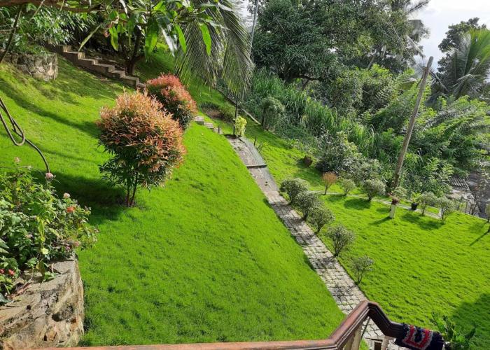 Blue Ridge Homestay