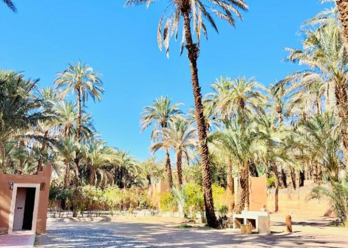 Camping auberge palmeraie d'amezrou
